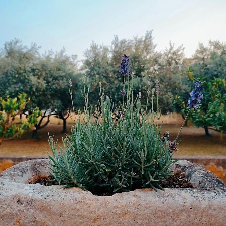 Veramare Medulin Dış mekan fotoğraf