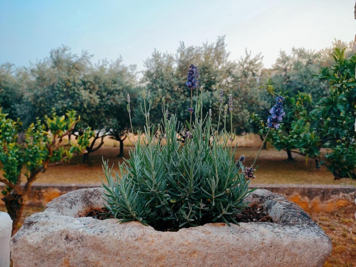 Veramare Medulin Dış mekan fotoğraf